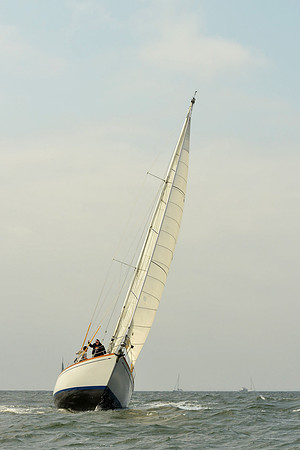 2015 Vineyard Race A 300
