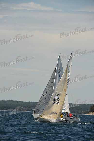 2016 Chester Race Week A_1071
