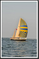proof_2010 Gov Cup A 774