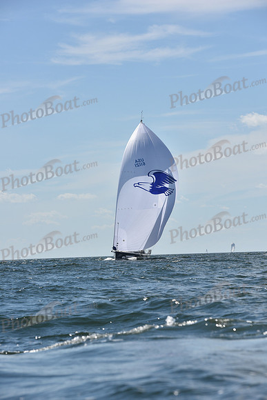 2020 Vineyard Race A_1725
