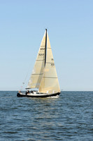 2011 Vineyard Race A 529