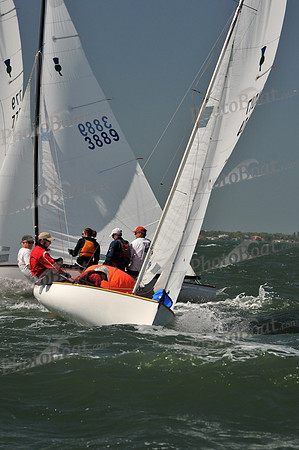 2012 Thistle Midwinters C 234