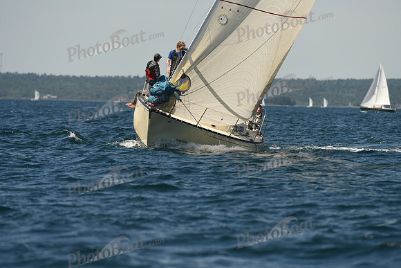 2016 Chester Race Week A_0512