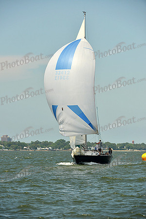 2015 Southern Bay Race Week A 1556