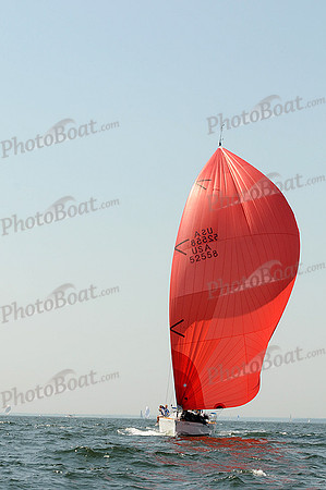 2012 Vineyard Race A 988