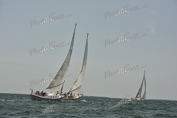 2018 Vineyard Cup A_1023