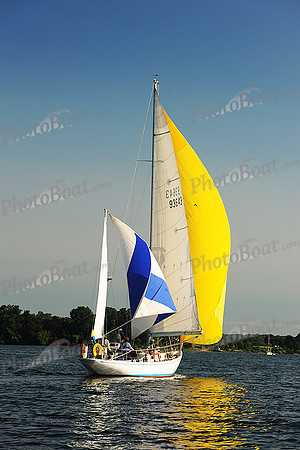 2015 Gov Cup D 233