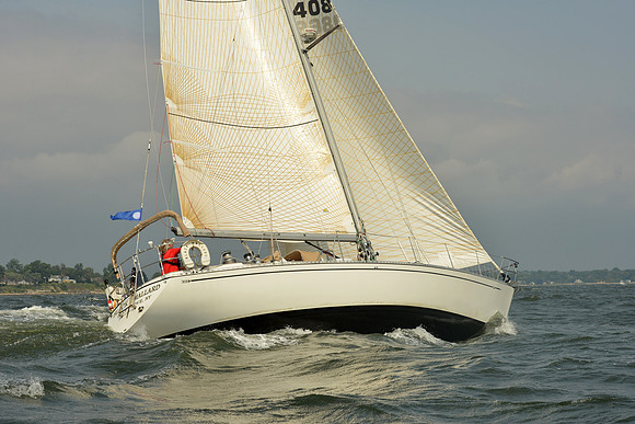 2015 Vineyard Race A 416