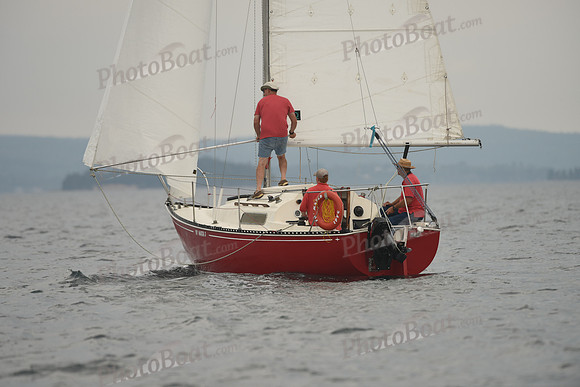 2016 Chester Race Week D_0642