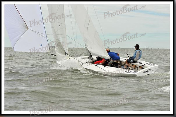 proof_2010_EScows_A 227