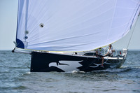 2019 Vineyard Race A_2525
