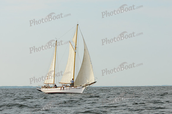 2011 Gov Cup A 1618