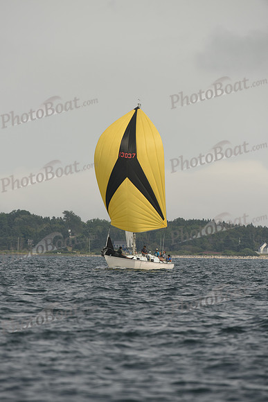 2016 Chester Race Week C_1647