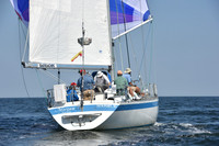 2019 Vineyard Race A_2888