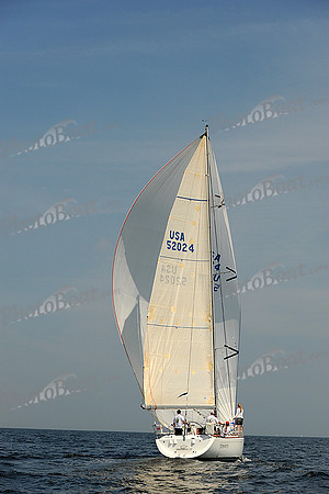 2013 Vineyard Race A 1292