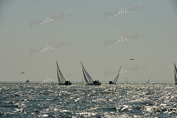 2015 St Pete NOOD D 771