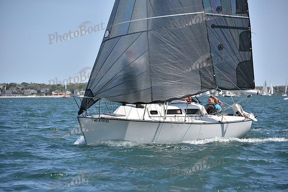 2019 Figawi_0353