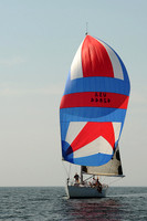 2013 Vineyard Race A 1934