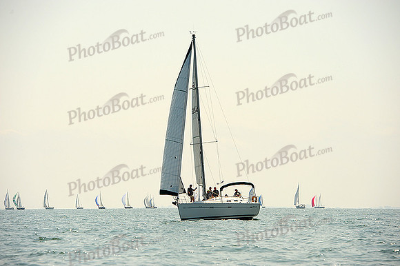 2014 Cape Charles Cup A 451