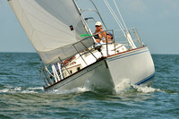2015 Southern Bay Race Week C 911
