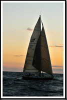 proof_2010_Vineyard_Race_2462