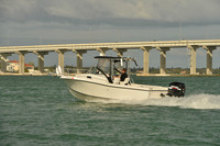 2019 Feb 10 Tampa Bay B_0790