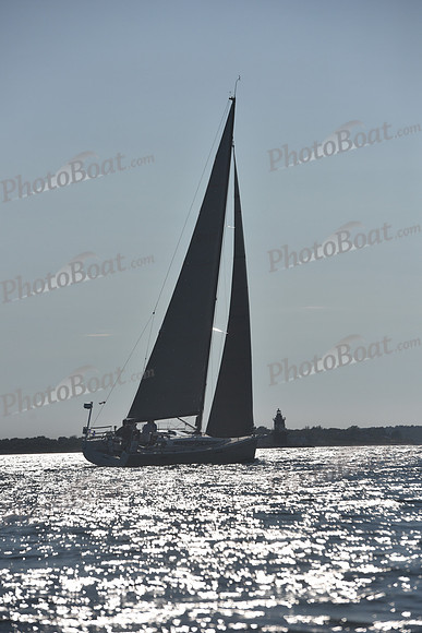 2021 Vineyard Race B 2346