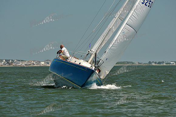 2013 Southern Bay Race Week C 1286