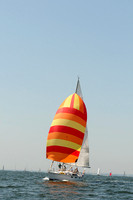 2012 Vineyard Race A 260