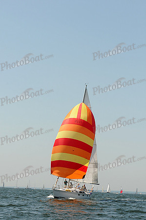 2012 Vineyard Race A 260