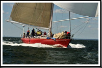 proof_2010_Vineyard_Race_0788