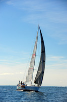 2014 Vineyard Race A 1931