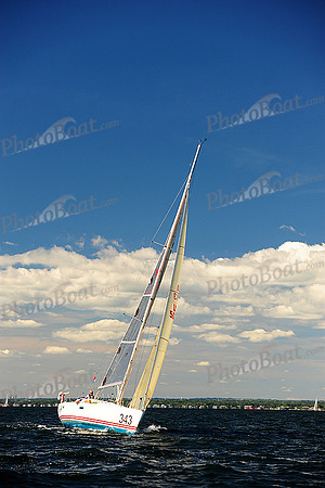 2014 Vineyard Race A 752