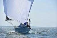 2019 Vineyard Race A_2074