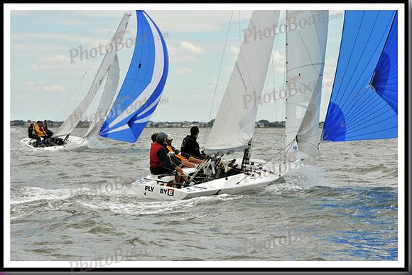 proof_2010_EScows_A 955