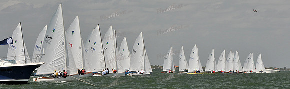 2012 Thistle MidWinters B 1358