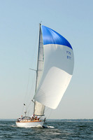 2012 Vineyard Race A 890