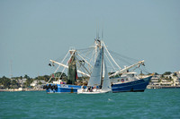 2014 Key West Race Week D 1230
