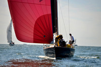 2017 Vineyard Race A_1239