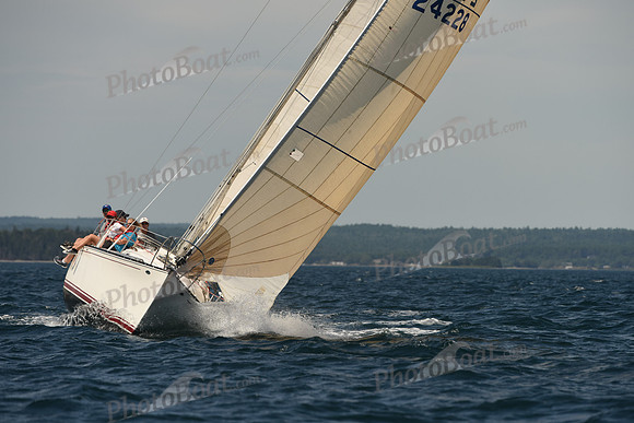 2016 Chester Race Week A_0729