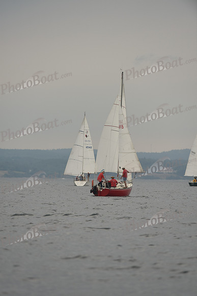 2016 Chester Race Week D_0669