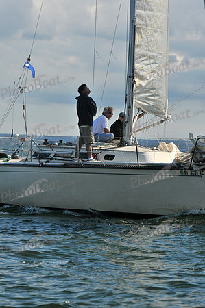 2010 IRC LIS 2038