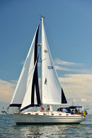 2015 Cape Charles Cup C 217