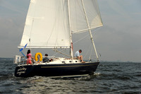 2013 Vineyard Race A 555