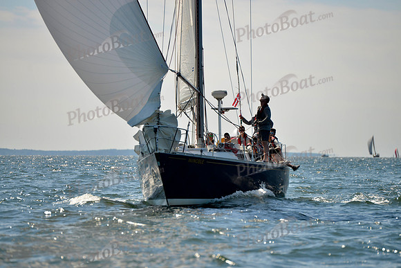 2017 Vineyard Race A_1111