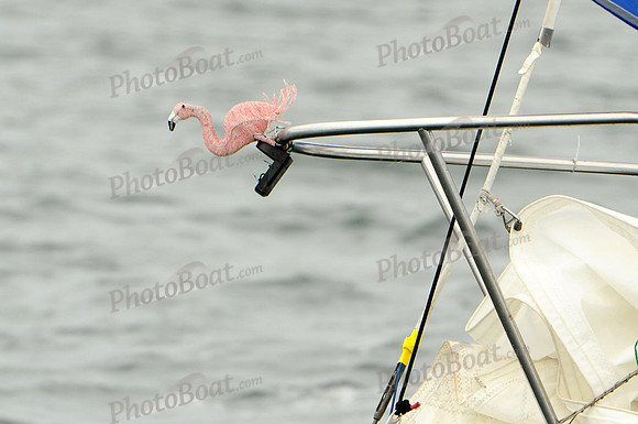 2011 Block Island RW E 2317