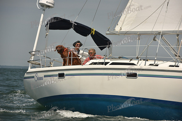 2018 Vineyard Cup A_0819
