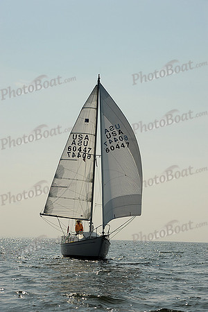 2013 Vineyard Race A 1862