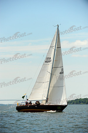 2014 NYYC Annual Regatta C 445