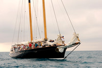 2012 Key West Race Week C 260